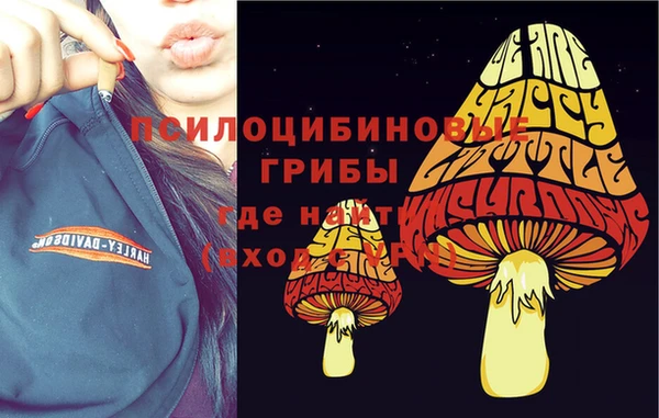 дурь Армянск