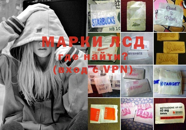 apvp Аркадак